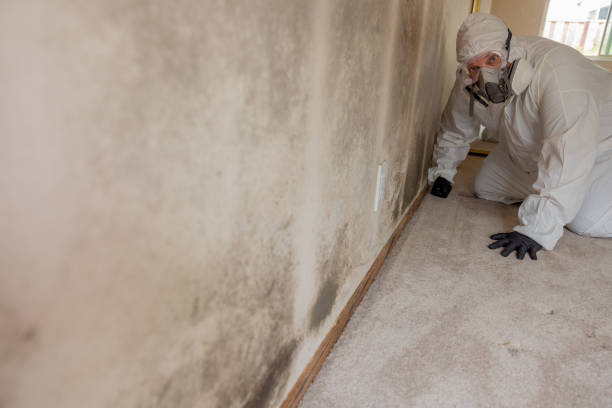 Best Biohazard Mold Removal  in Riverside, IA