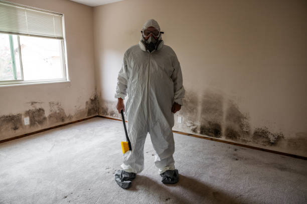Best Post-Construction Mold Inspection  in Riverside, IA